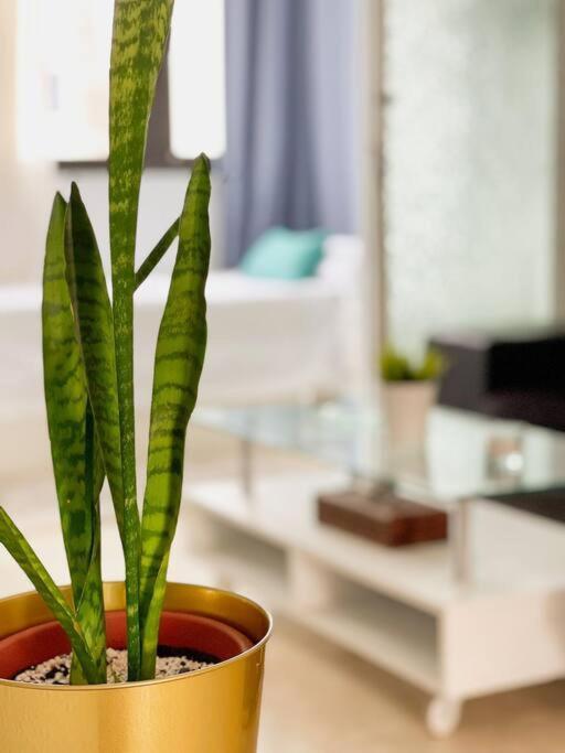 Apartamento Oceano Azul Luminoso 50 Metros Del Mar En Centro Corralejo Exterior foto